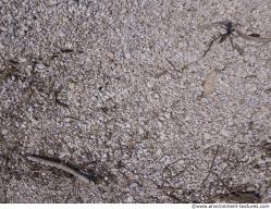 Photo of Mixed Textures